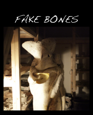 FAKE BONES
